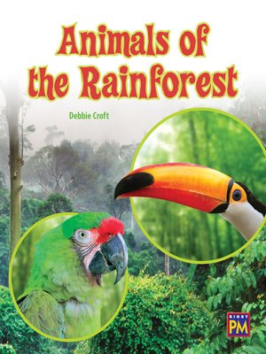 cover image of Animals of the Rainforest